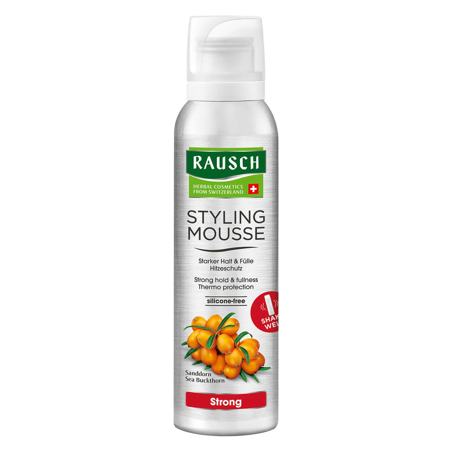 RAUSCH Styling - STYLING MOUSSE Strong Aerosol