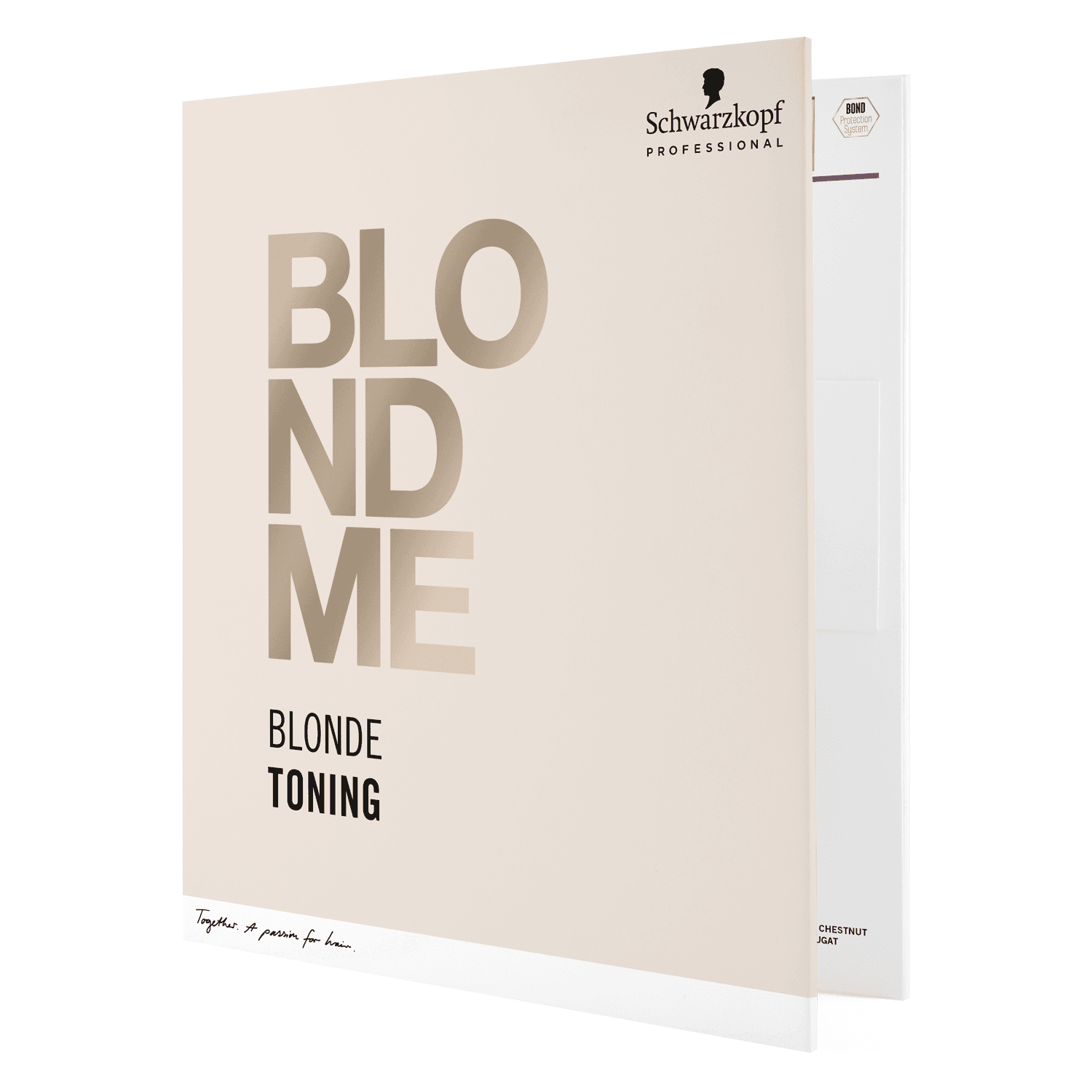 Blondme - Color Chart Toner