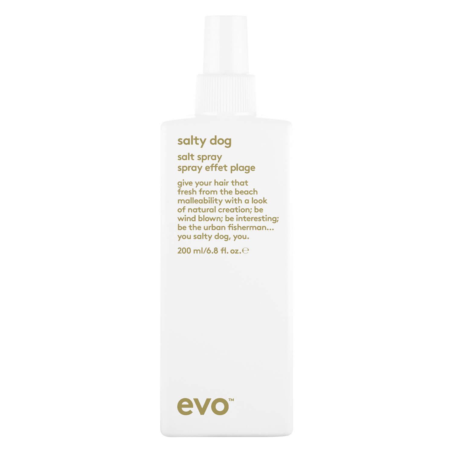 evo style - salty dog salt spray