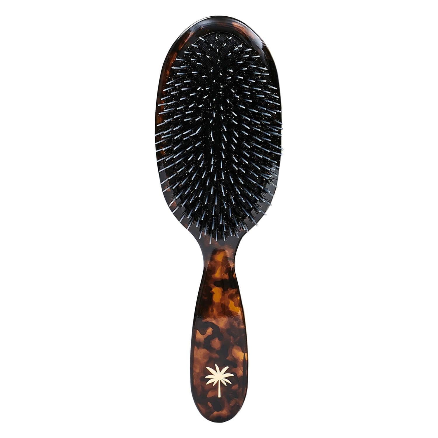 Fan Palm - Hair Brush Medium Tortoise Shell