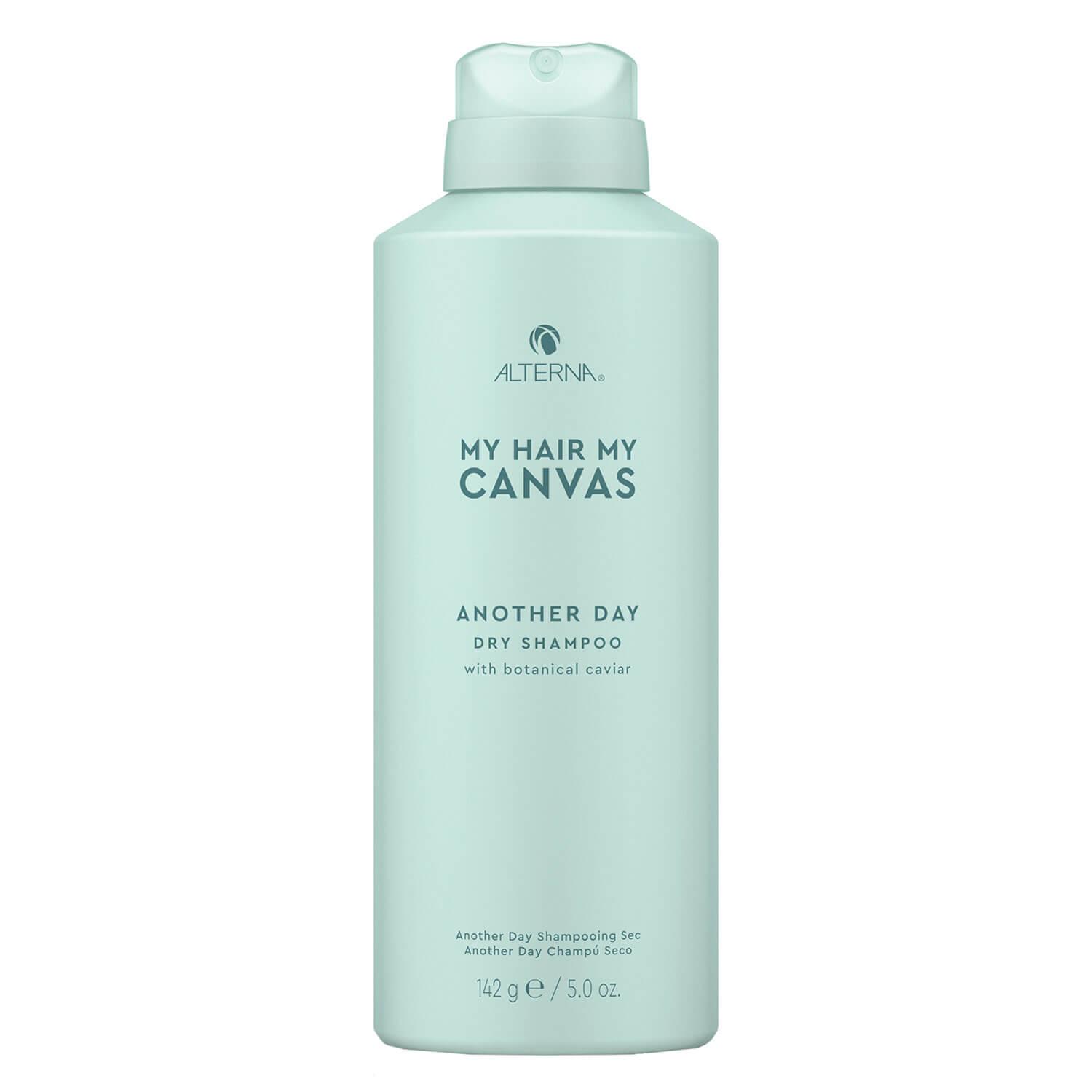 My Hair My Canvas - Another Day Dry Shampoo
