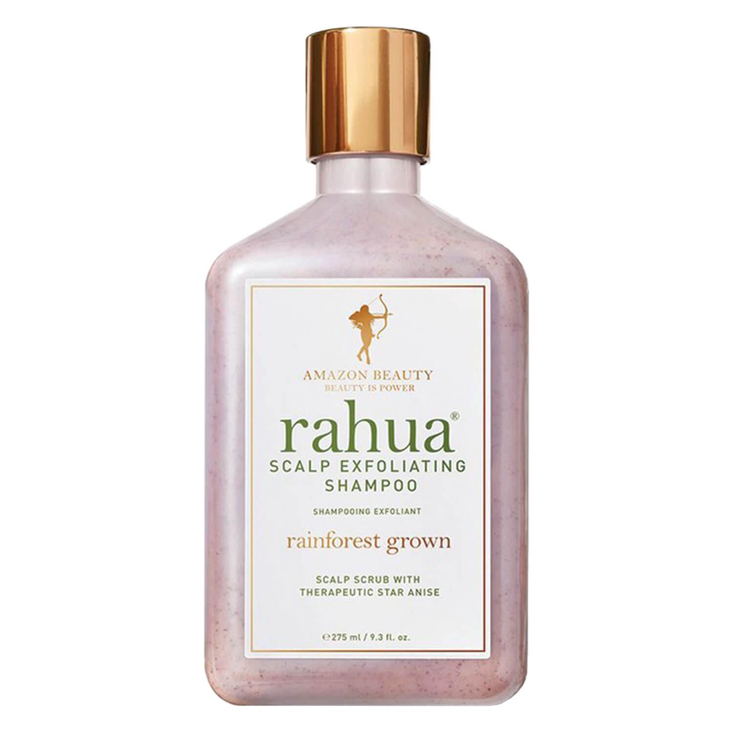 Rahua Daily Care - Scalp Exfolianting Shampoo